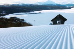 Ingemarbacken Sasongspremiar Tarnaby Alpint 2025 utan text webb ver1