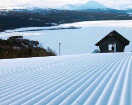 Ingemarbacken Sasongspremiar Tarnaby Alpint 2025 utan text webb ver1